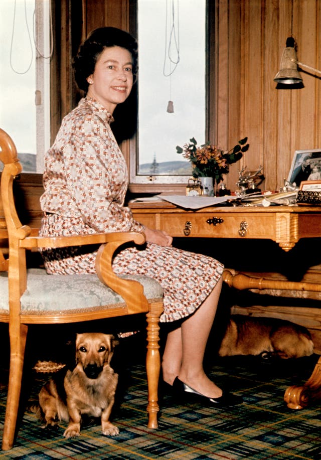 The Queen with some of her dogs