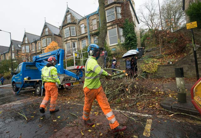 Three arrested in protest against tree felling