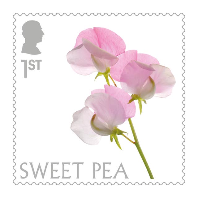 The sweet pea stamp