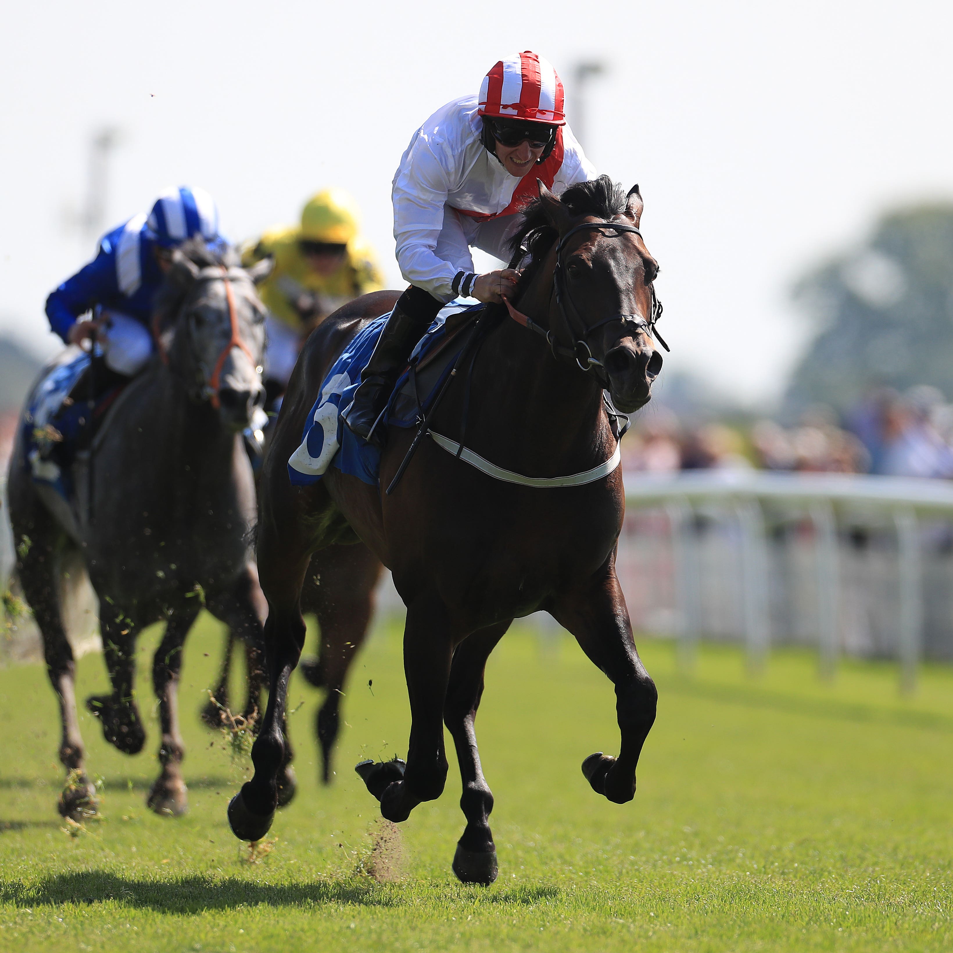 Invincible Army impressed with a clear-cut victory at York