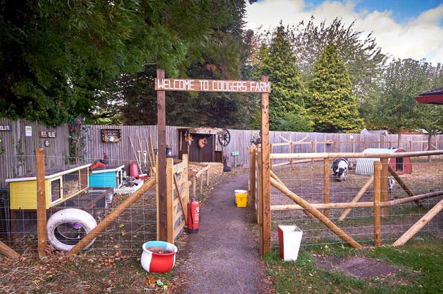 Animal therapy at care home