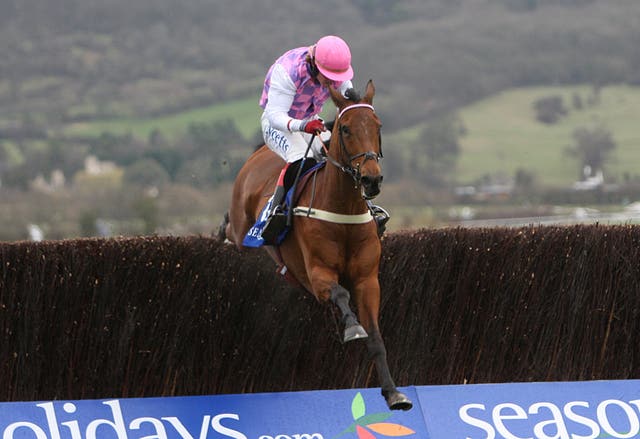 Voy Por Ustedes landed the Queen Mother Champion Chase in 2007