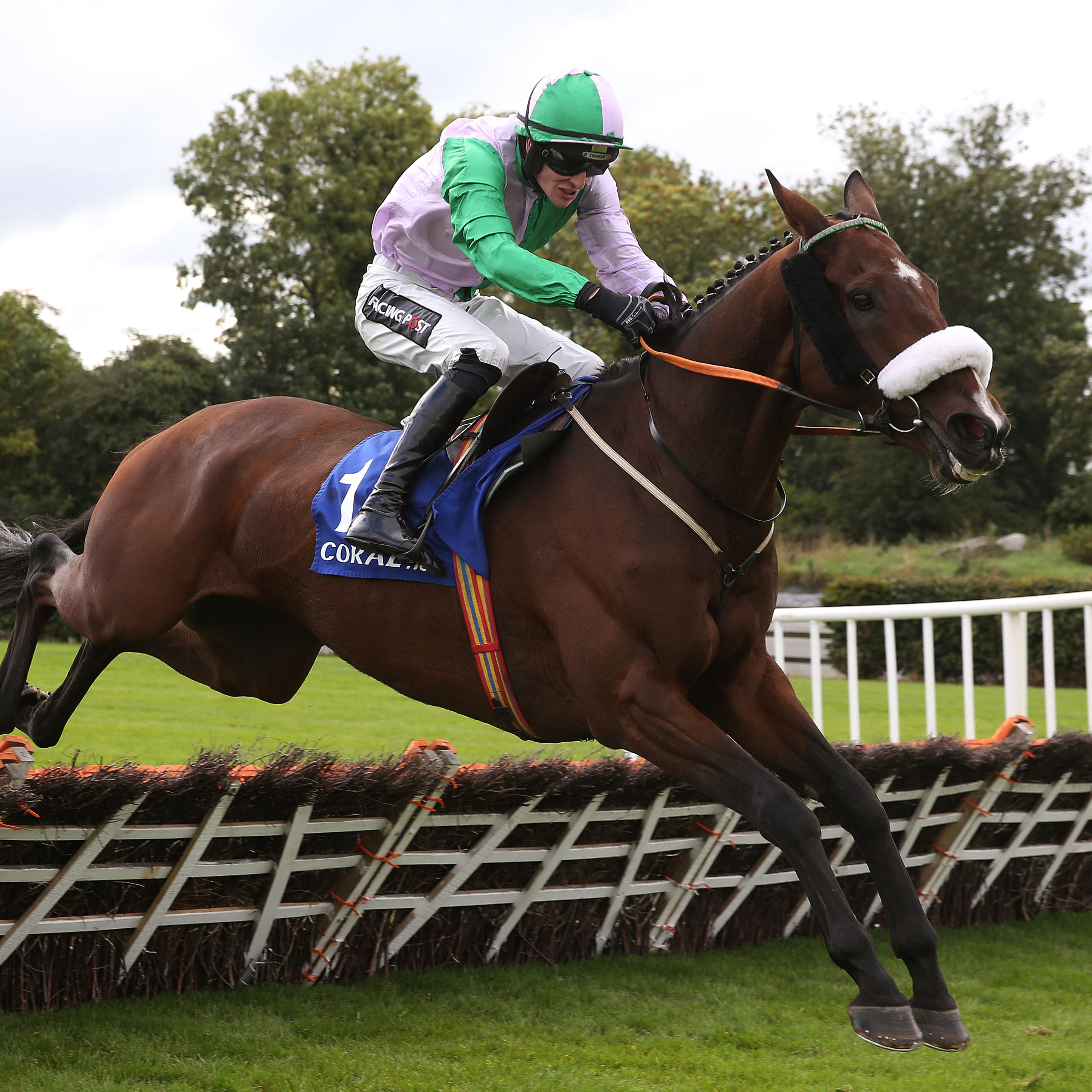 Hidden Cyclone has been retired