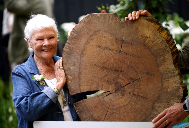 Dame Judi Dench displays a timber round with key dates from her life and career carved into it, after launching a new Woodland Heritage campaign 
