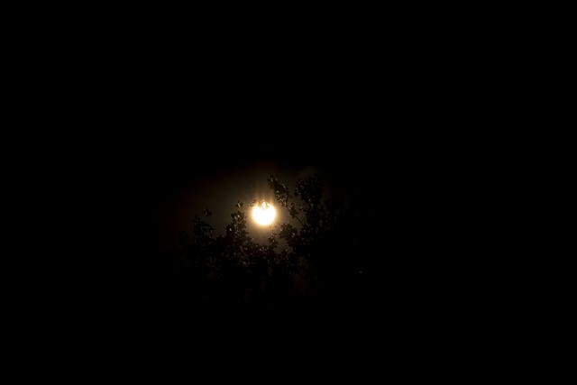 The sun