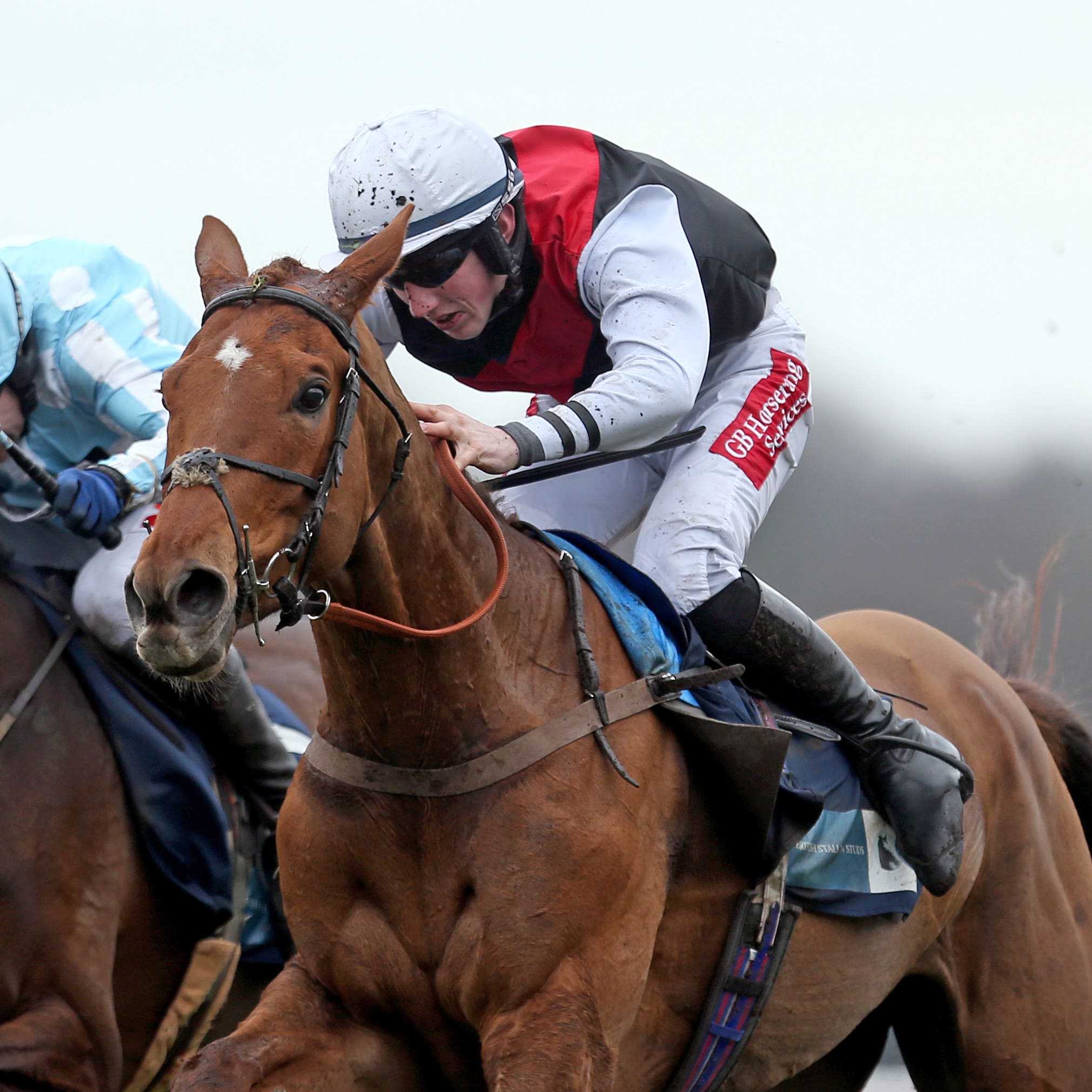 Queenohearts (right), who is likely to run at Fairyhouse on her next start