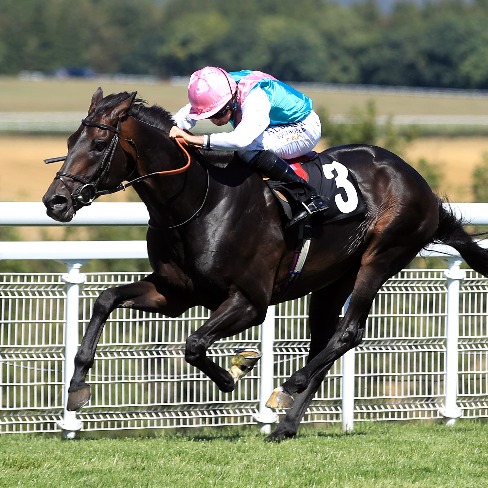 Mirage Dancer comes home to win the Glorious Stakes at Goodwood