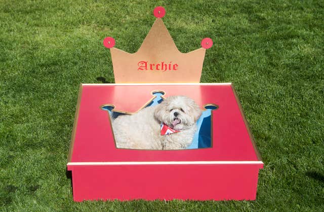 Archie the Lhasa Apso sits in his hot tub (Danny Lawson/PA)