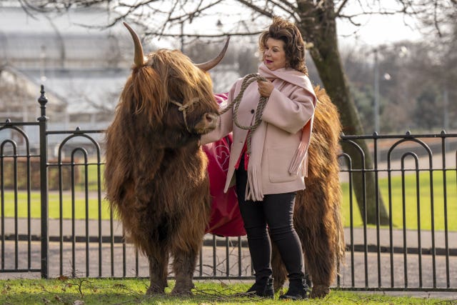 Elaine C Smith with Highland cow