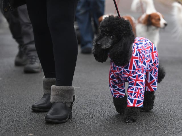 Crufts Dog Show – Day One