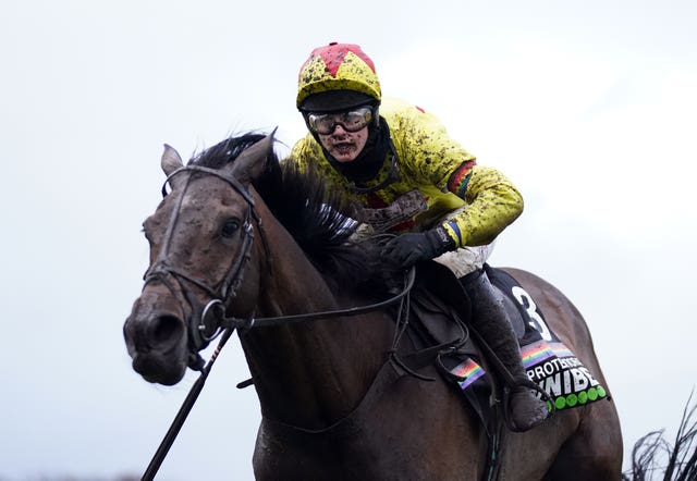 Protektorat is Britain's leading Gold Cup hope 