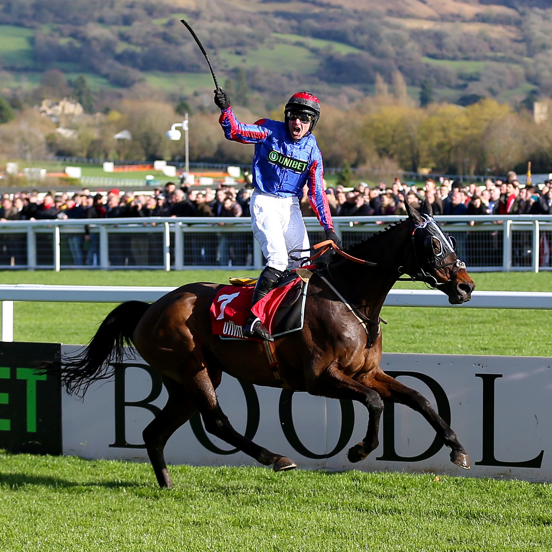 Jerry McGrath celebrates victory aboard Beware The Bear at Cheltenham