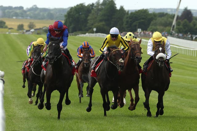 Sunway (noseband) was narrowly beaten by Los Angeles in the Irish Derby