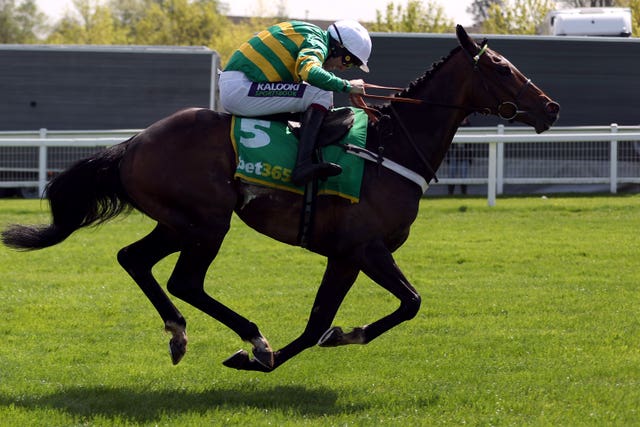 Jonbon in action under Aidan Coleman