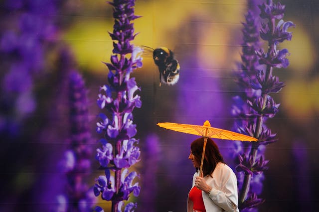 A yellow umbrella stands in contrast to a purple flower display