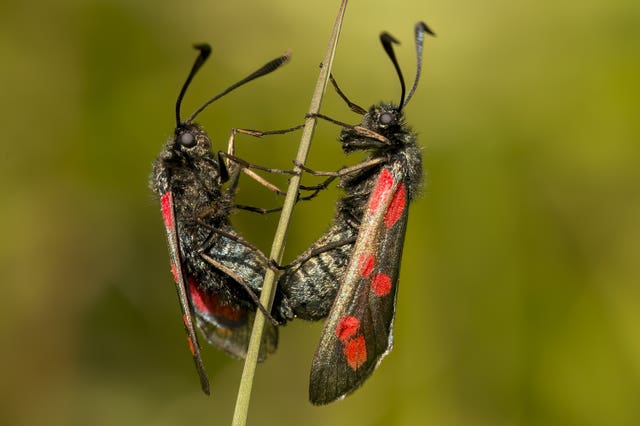 South Downs National Park photo competition