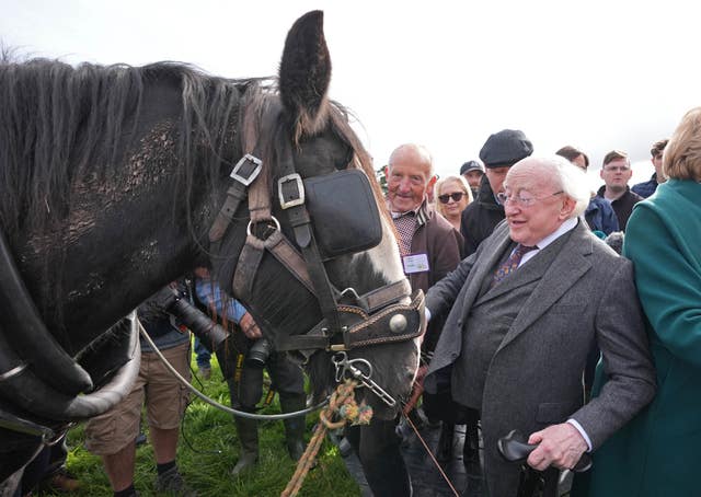 President Michael D Higgins looks at some of the horses in the competition before he opens the Ploughing Championships 