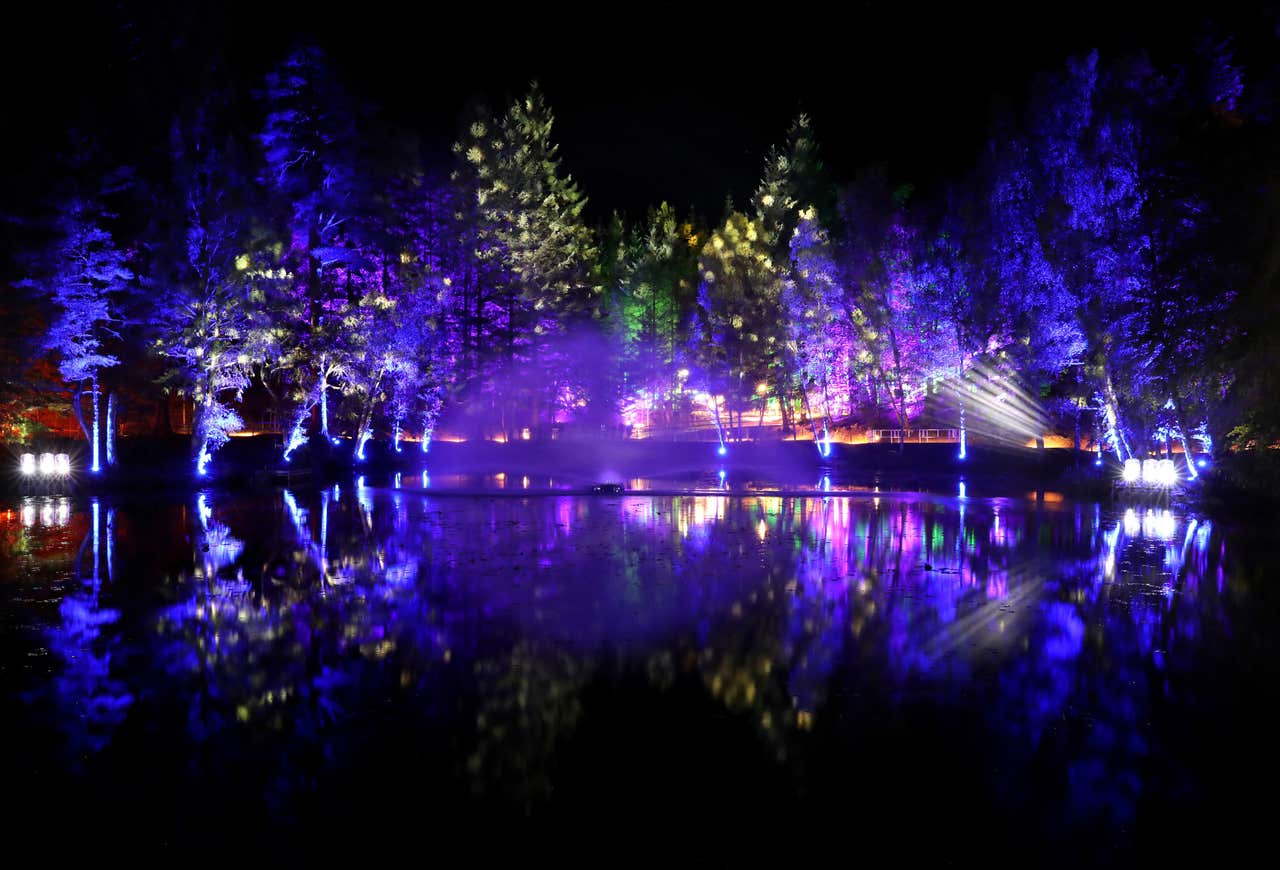 In Pictures: Take a trip through The Enchanted Forest | BT