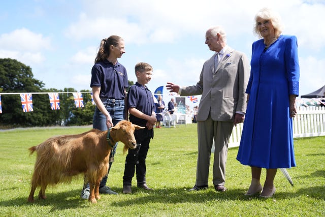 The King and Queen meet a rare Golden Guernsey Goat in Saint Peter Port, Guernsey