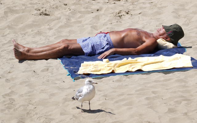 A gull stands sentry to one sunbather with his eyes shaded