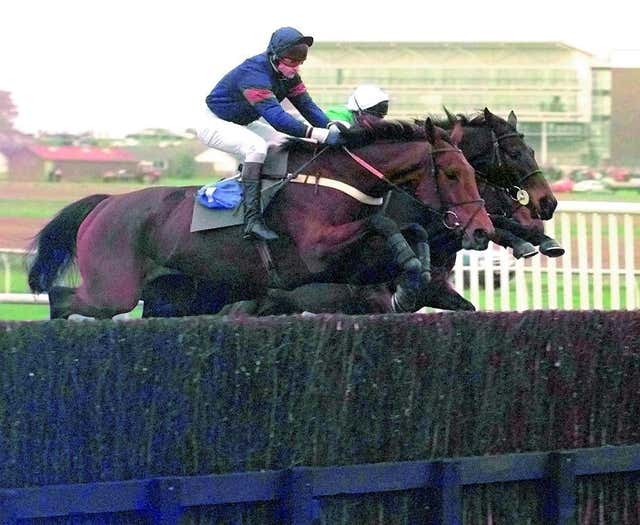 French Holly in action on his chasing debut 