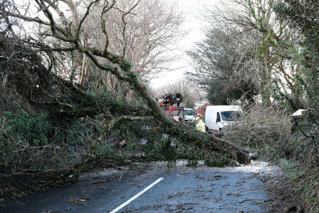 A fallen tree is cleared from a road