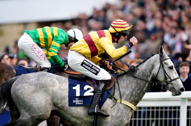 Sine Nomine crossing the line at Cheltenham 