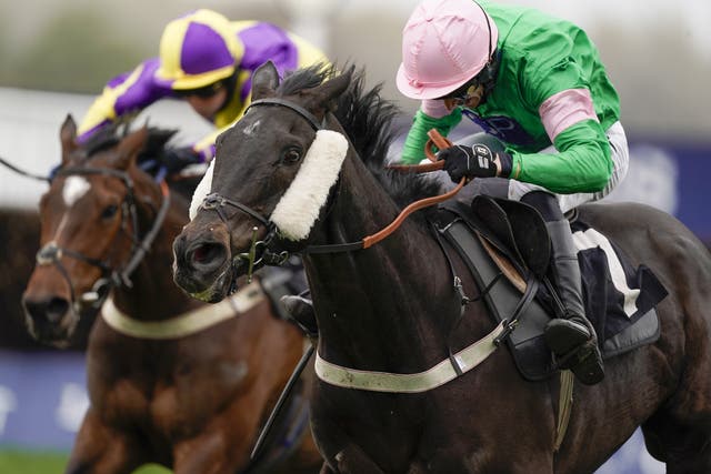 Herbiers at Ascot