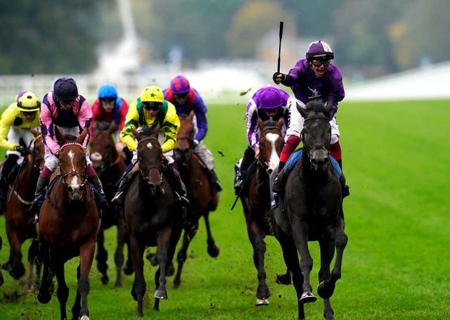 Horizon Dore (yellow and green) has finished third on both visits to Ascot