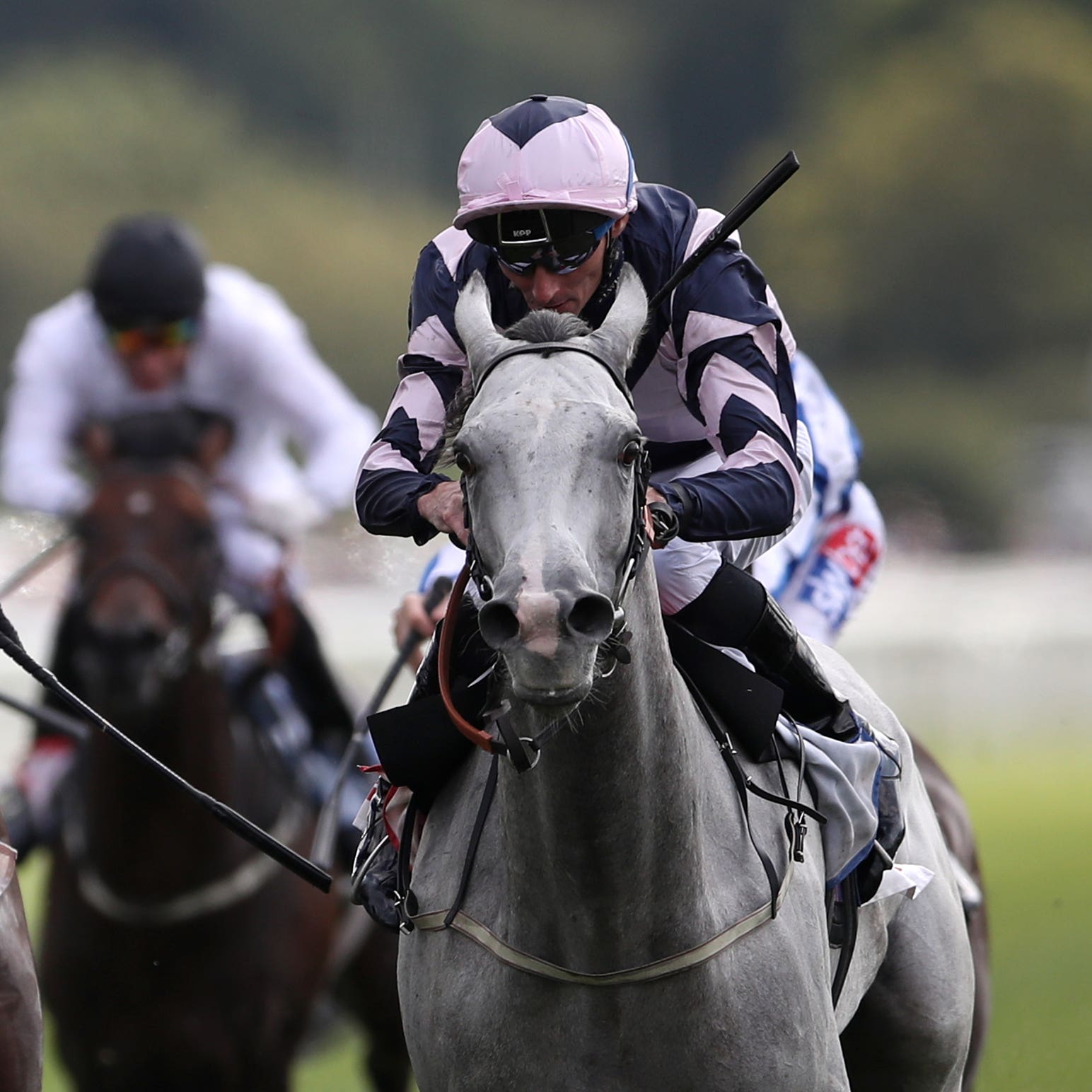 Lord Glitters (right) is heading to Royal Ascot