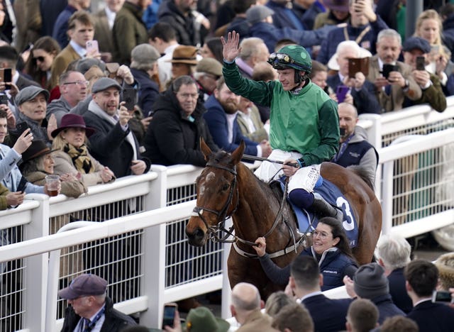 El Fabiolo after winning the Arkle at the Cheltenham Festival 