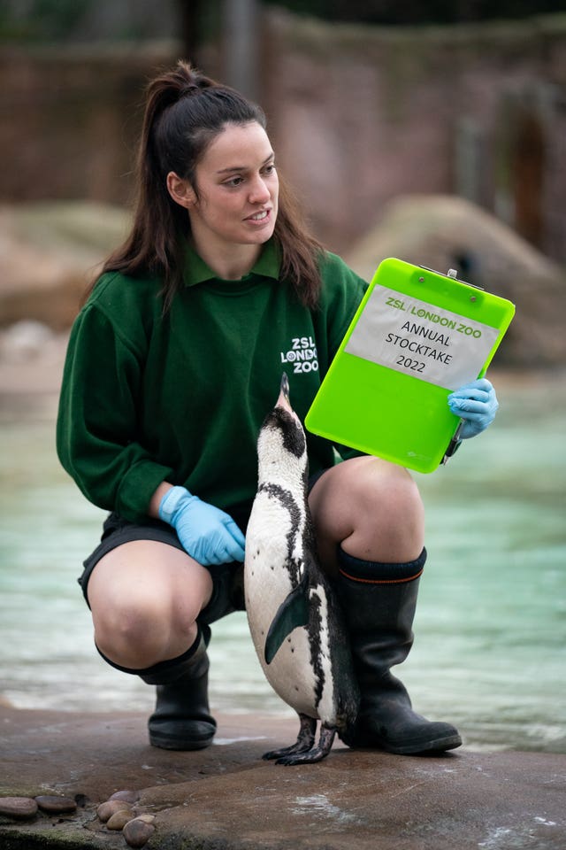 London Zoo annual stocktake