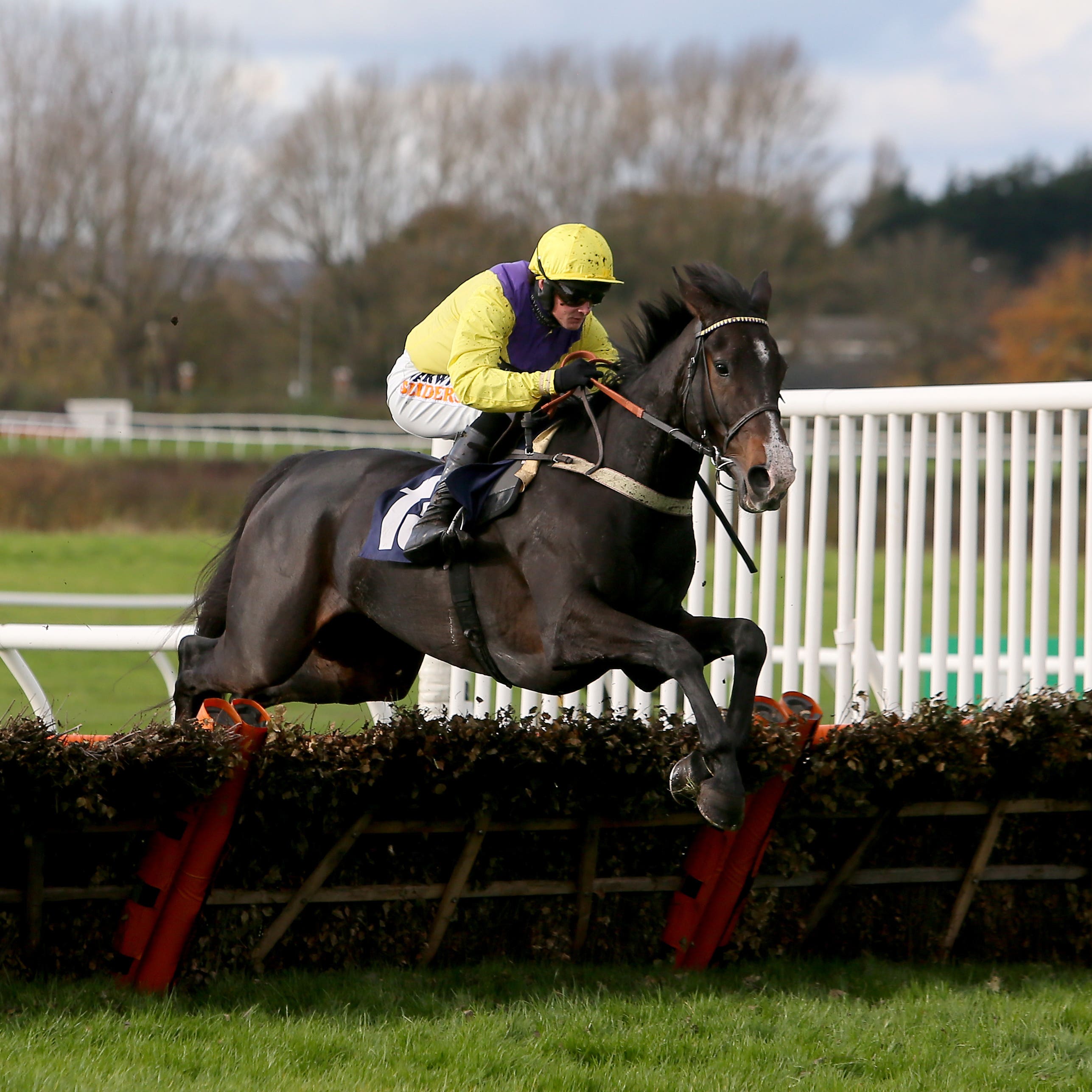 Kalashnikov is the star turn for trainer Amy Murphy