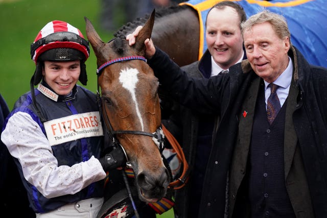 Harry Redknapp, owner of Shakem Up’arry after winning at Cheltenham 