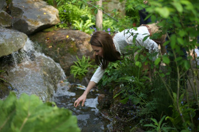  Chelsea Flower Show