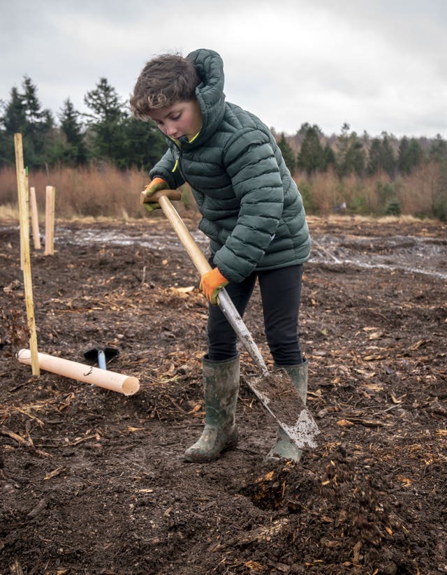 Tree planting