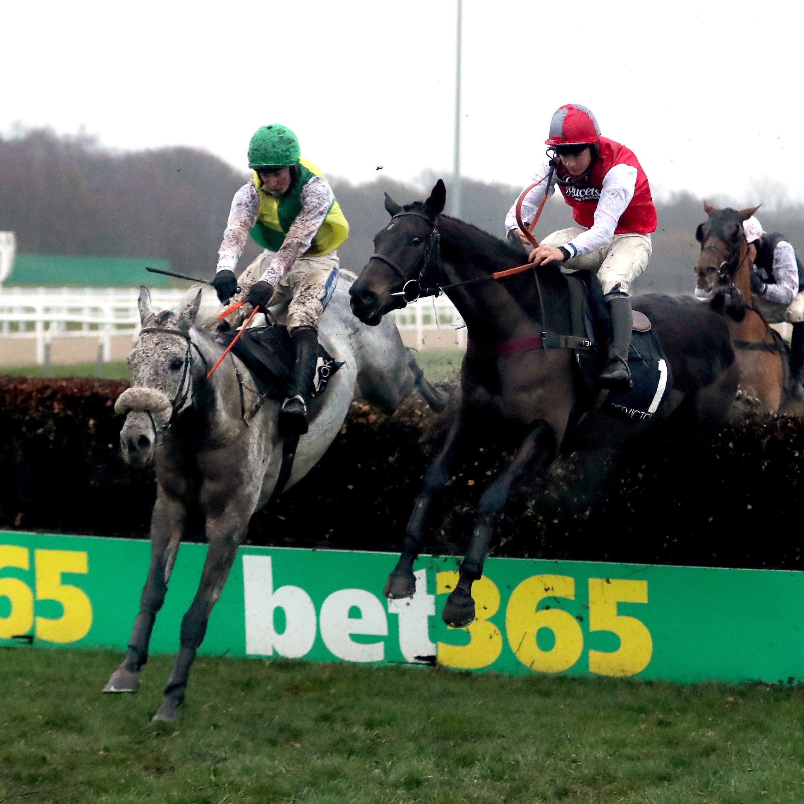 Lake View Lad (left) is to be given an entry in the Grand National