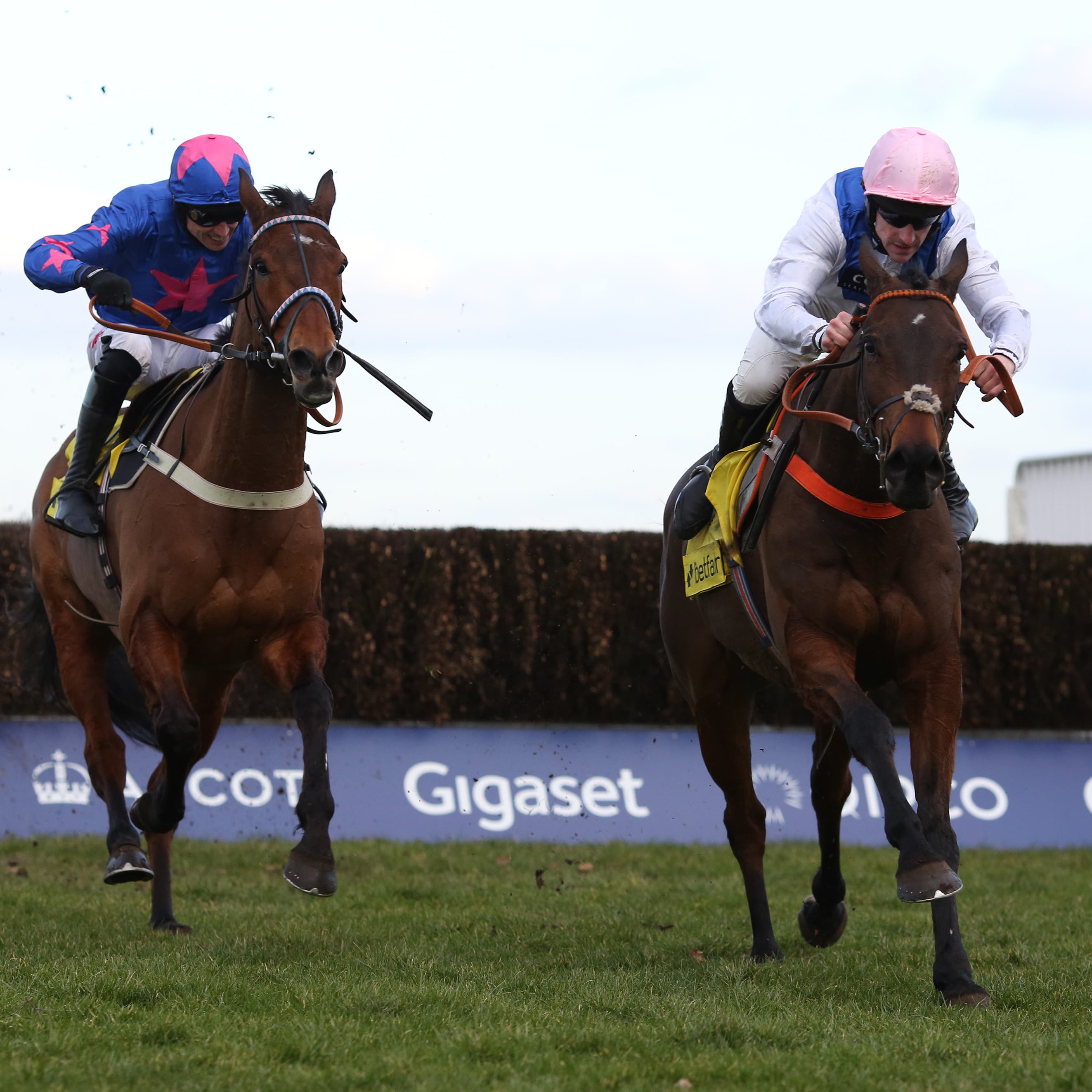 Waiting Patiently (right) sees off Cue Card to win the Ascot Chase