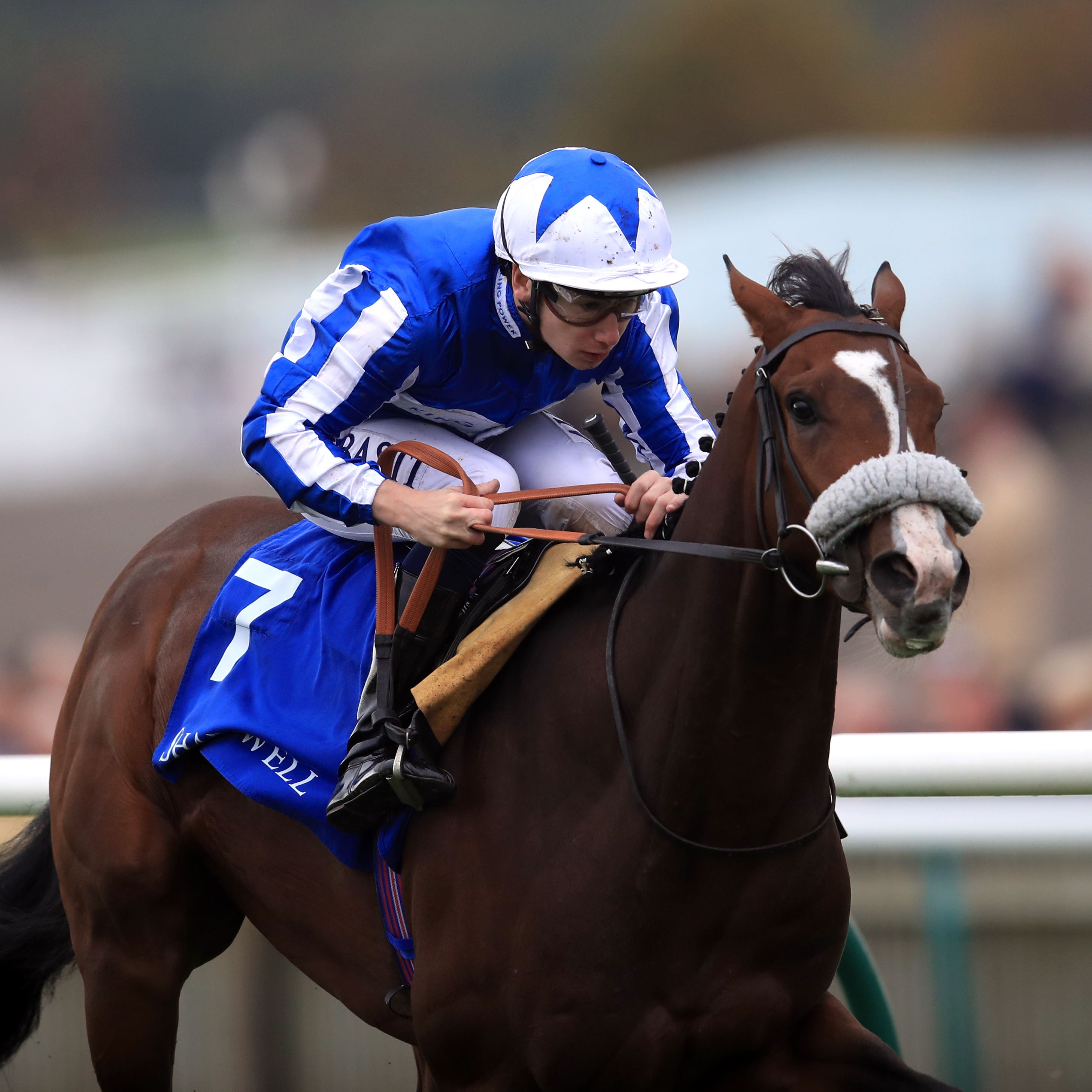Beat The Bank on his way to winning at Newmarket two years ago