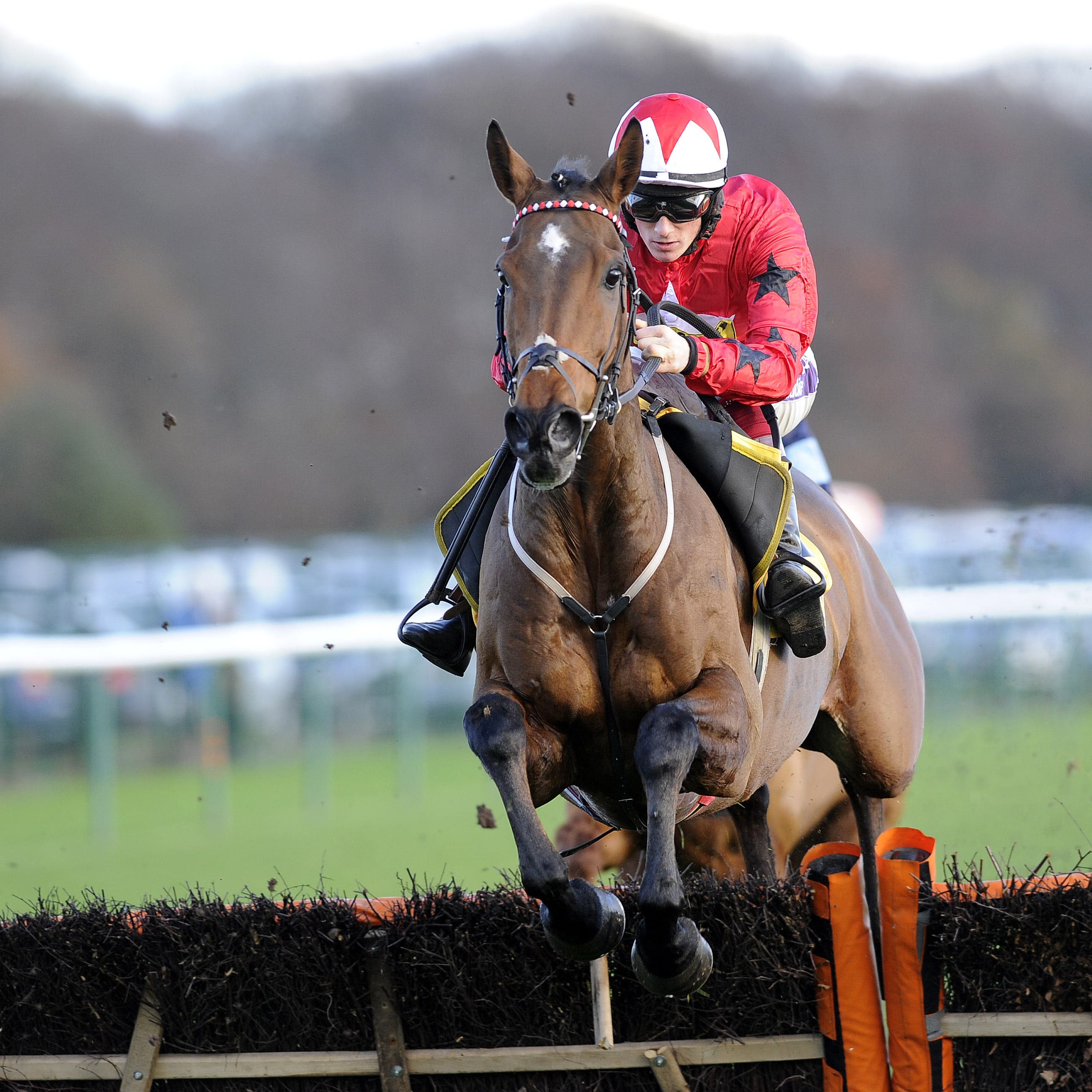 The New One returns to action this weekend