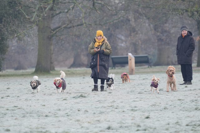 People walk dogs through frost in Greenwich Park, south London