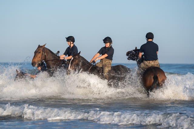 The King’s Troop Royal Horse Artillery in Norfolk