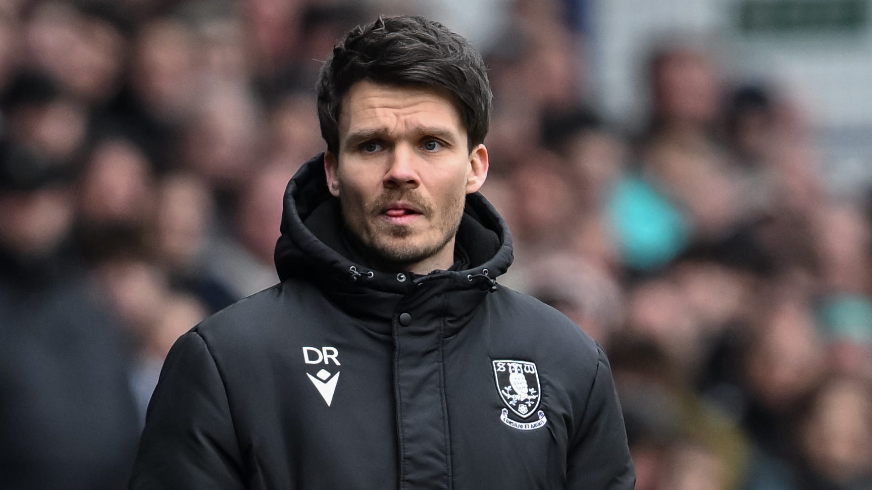 Sheffield Wednesday manager Danny Rohl has been linked with several clubs (Cody Froggatt/PA)
