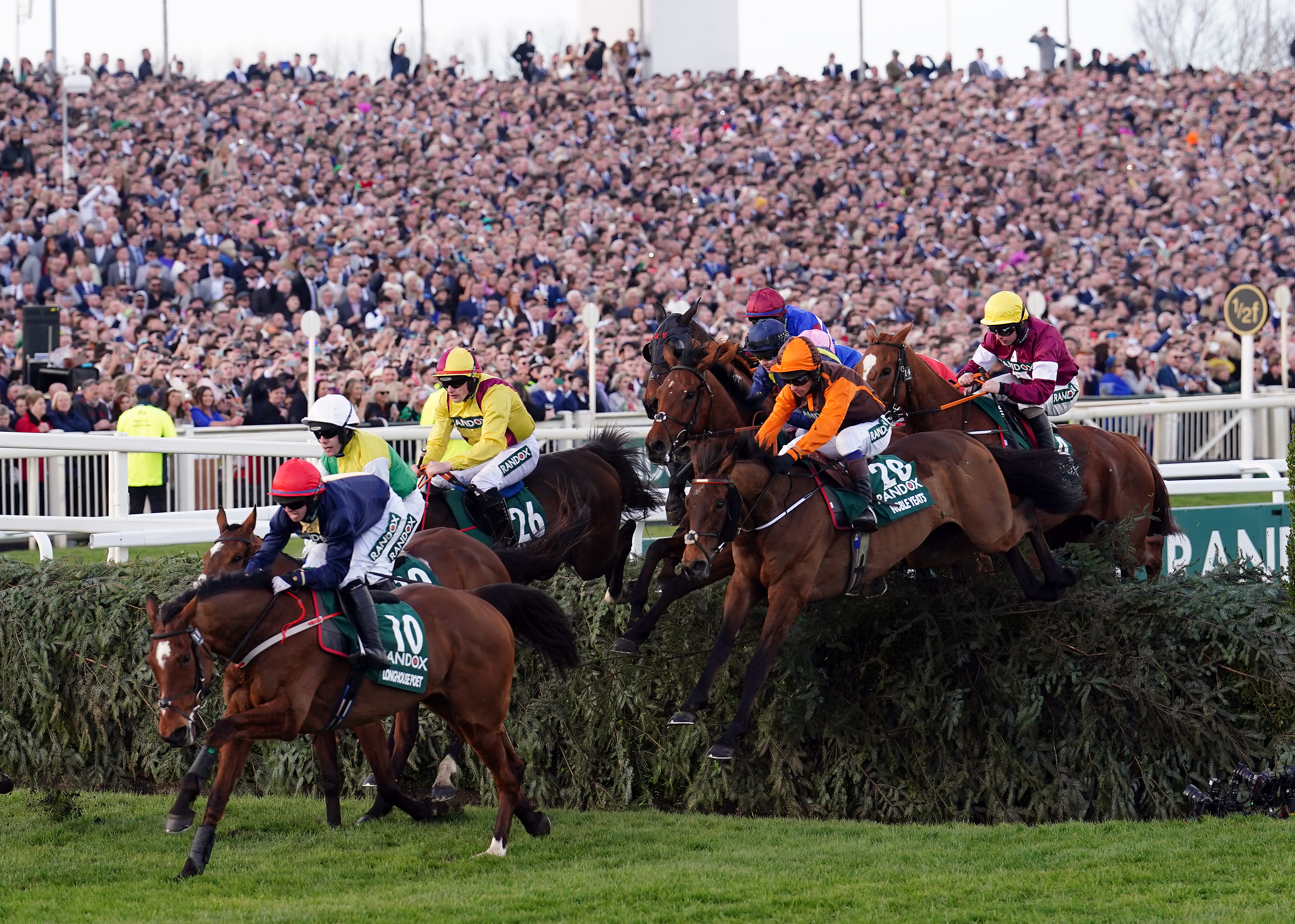 Runners in the 2022 Grand National