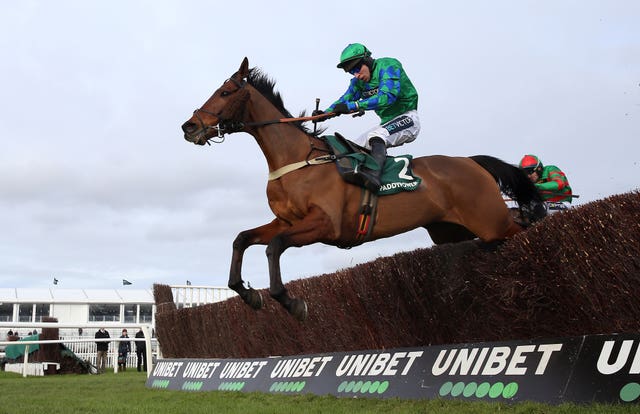 Ga Law in action over fences at Cheltenham 