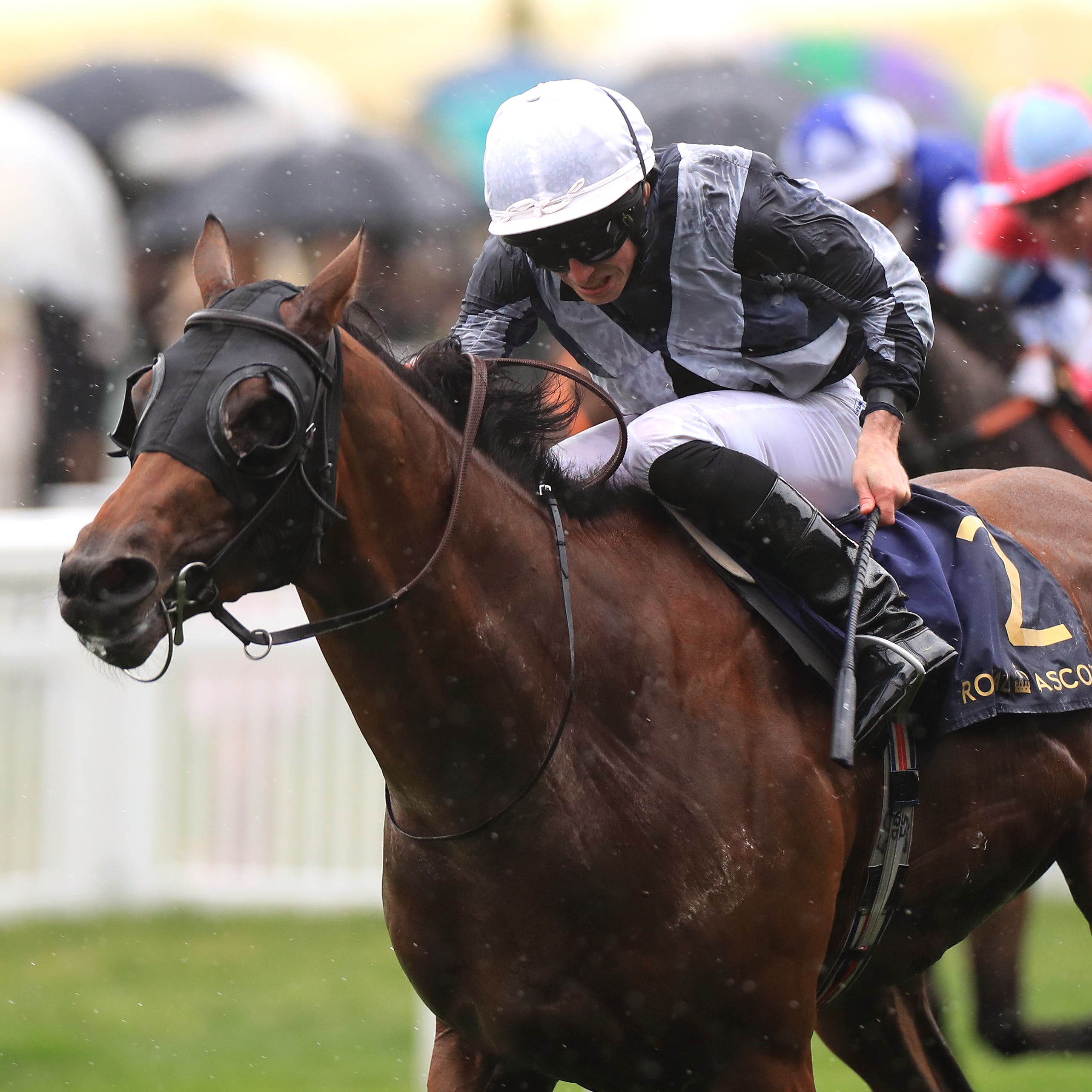 Circus Maximus wins the St James's Palace Stakes at Royal Ascot