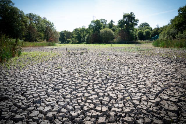 Summer weather Aug 8th 2022