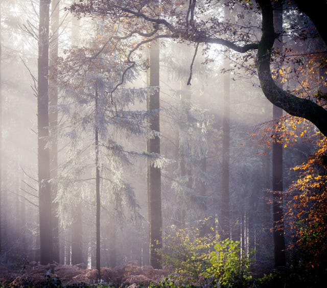 South Downs National Park’s annual photo competition