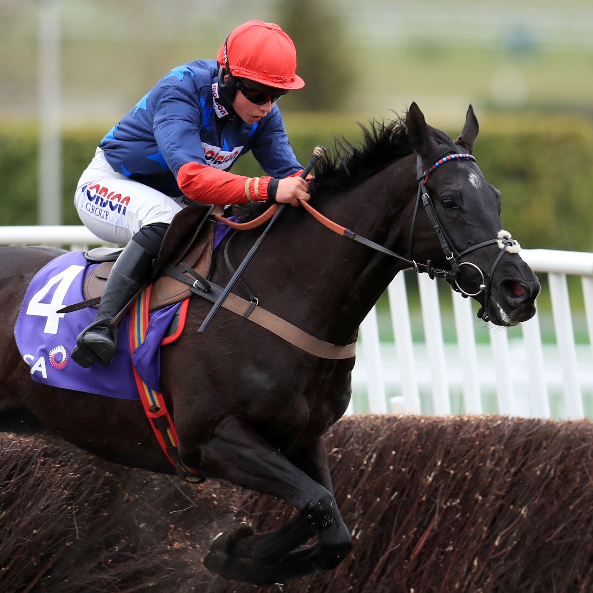 Black Corton will run in Wednesday's Galway Plate