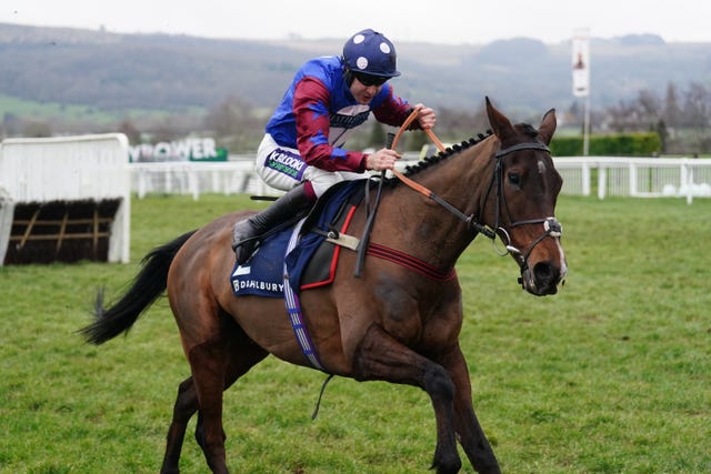 Paisley Park is an ever-present in the Stayers' Hurdle